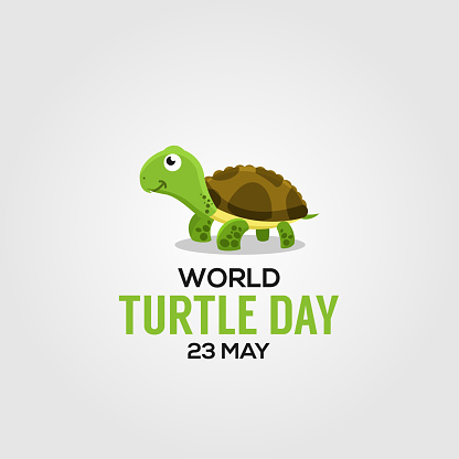 World Turtle Day Design Illustration Template